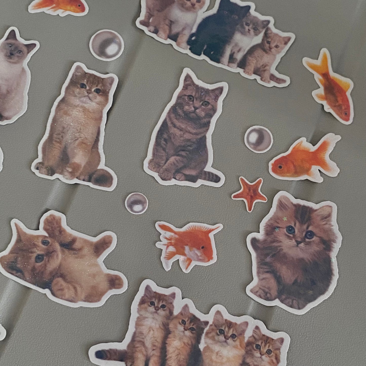 Cats and Fishes Sticker Pack