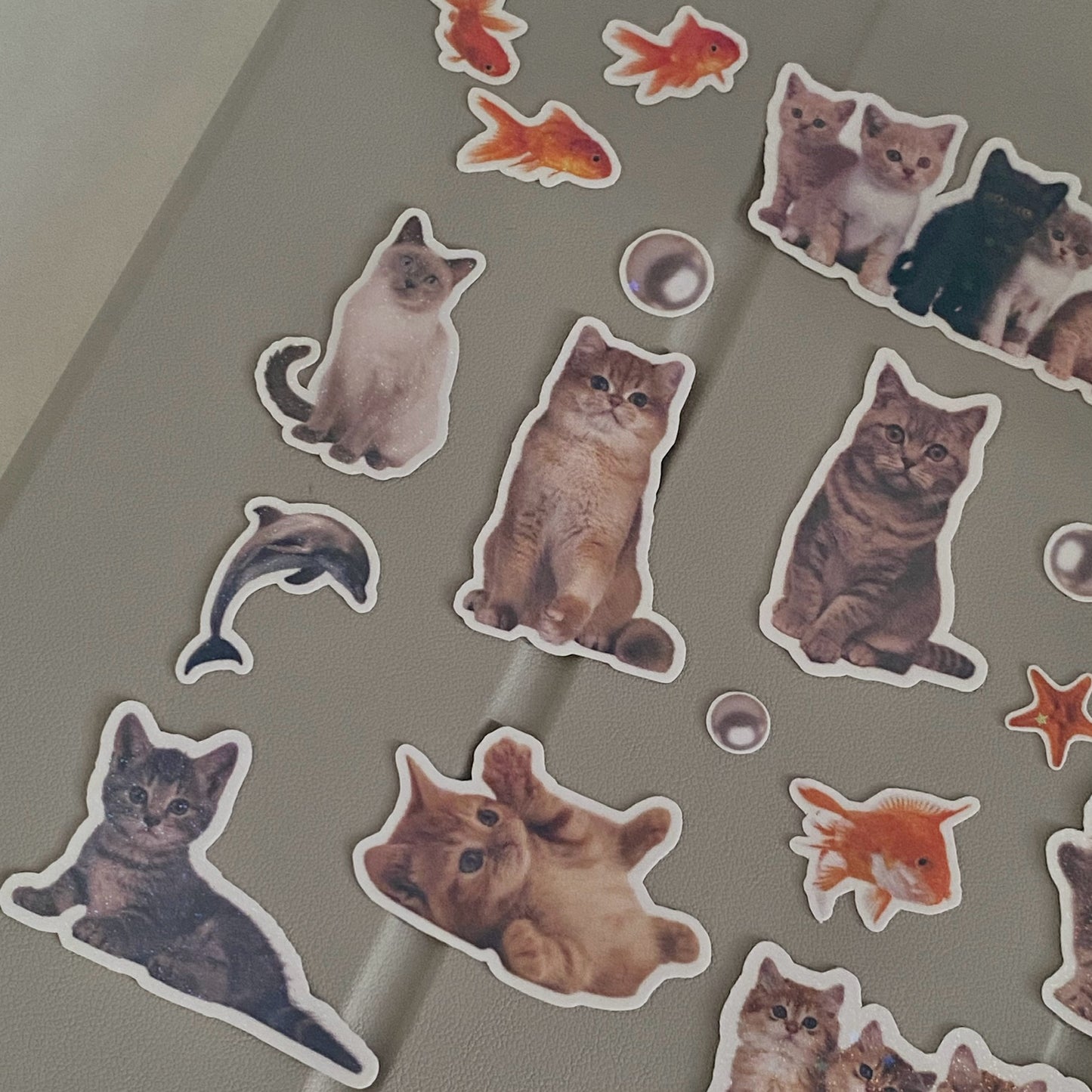 Cats and Fishes Sticker Pack