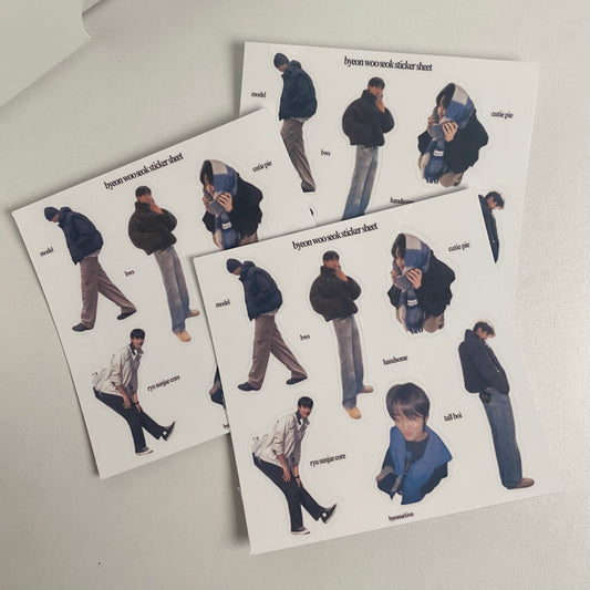 Byeon Woo Seok Sticker Sheet